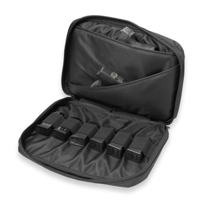 Double Pistol Case